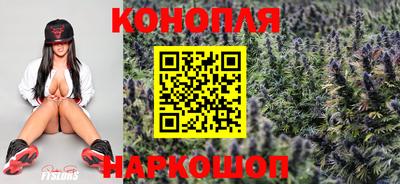 ПСИЛОЦИБИНОВЫЕ ГРИБЫ Абакан