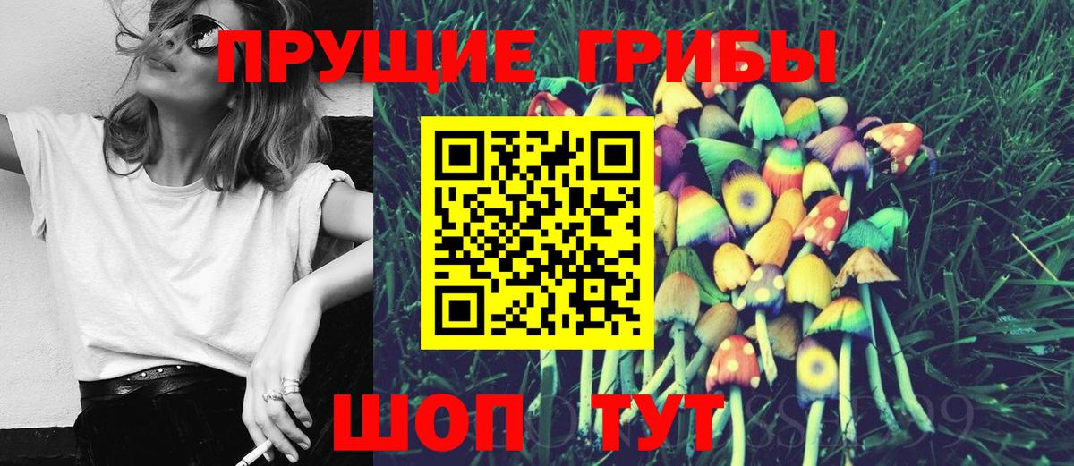 Азнакаево  Галлюциногенные грибы MAGIC MUSHROOMS  Вход с VPN 